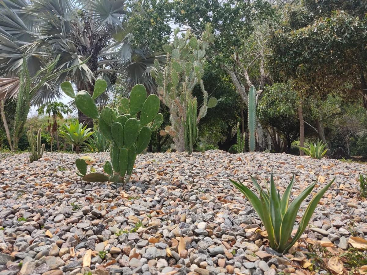Arizona Ranch Hotel Girardot Εξωτερικό φωτογραφία
