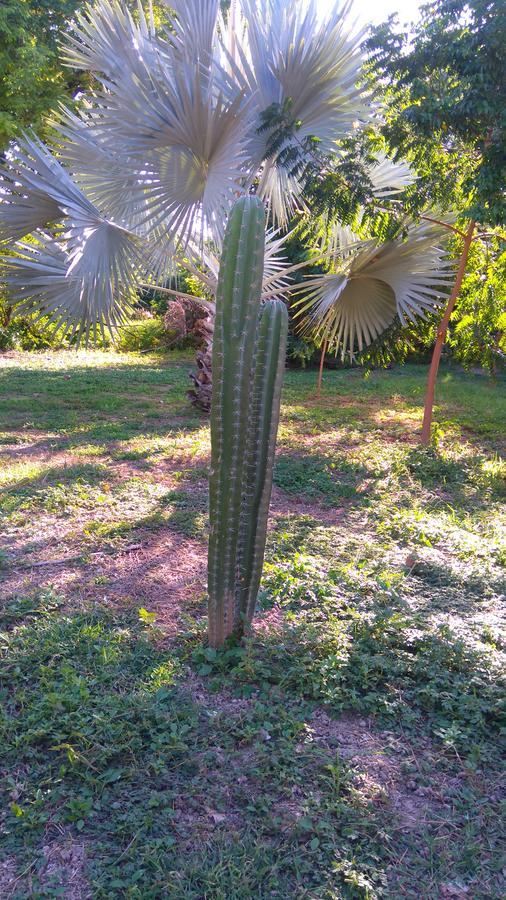 Arizona Ranch Hotel Girardot Εξωτερικό φωτογραφία